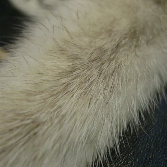 Talk of the Walk Long Leather & Mink Coat